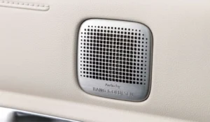 Bang & Olufsen speaker inside Hyundai NEXO